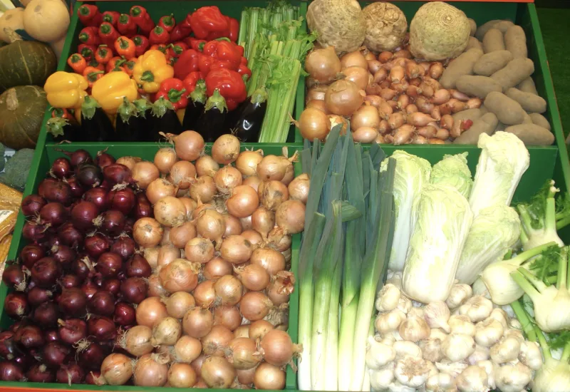 Expand into Export Markets
