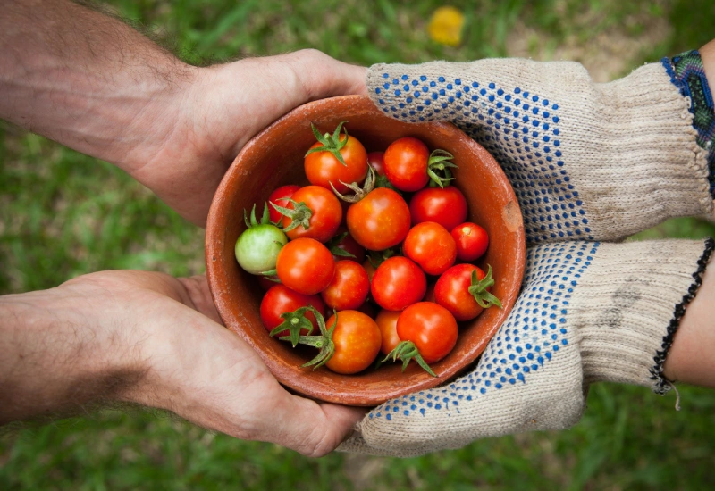 Ensure Quality, Traceability, and Compliance